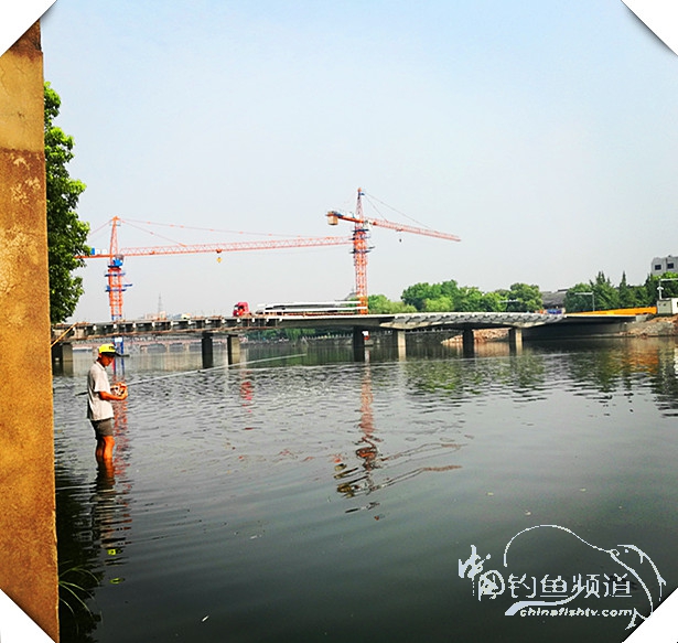 早起的鸟儿有虫吃动画,早起的鸟儿有虫吃故事