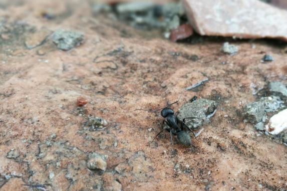 荣耀8评测,荣耀note8评测