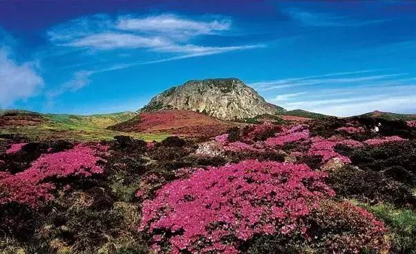 有钱,随性!出国旅游最舍得花钱的城市你知道吗?