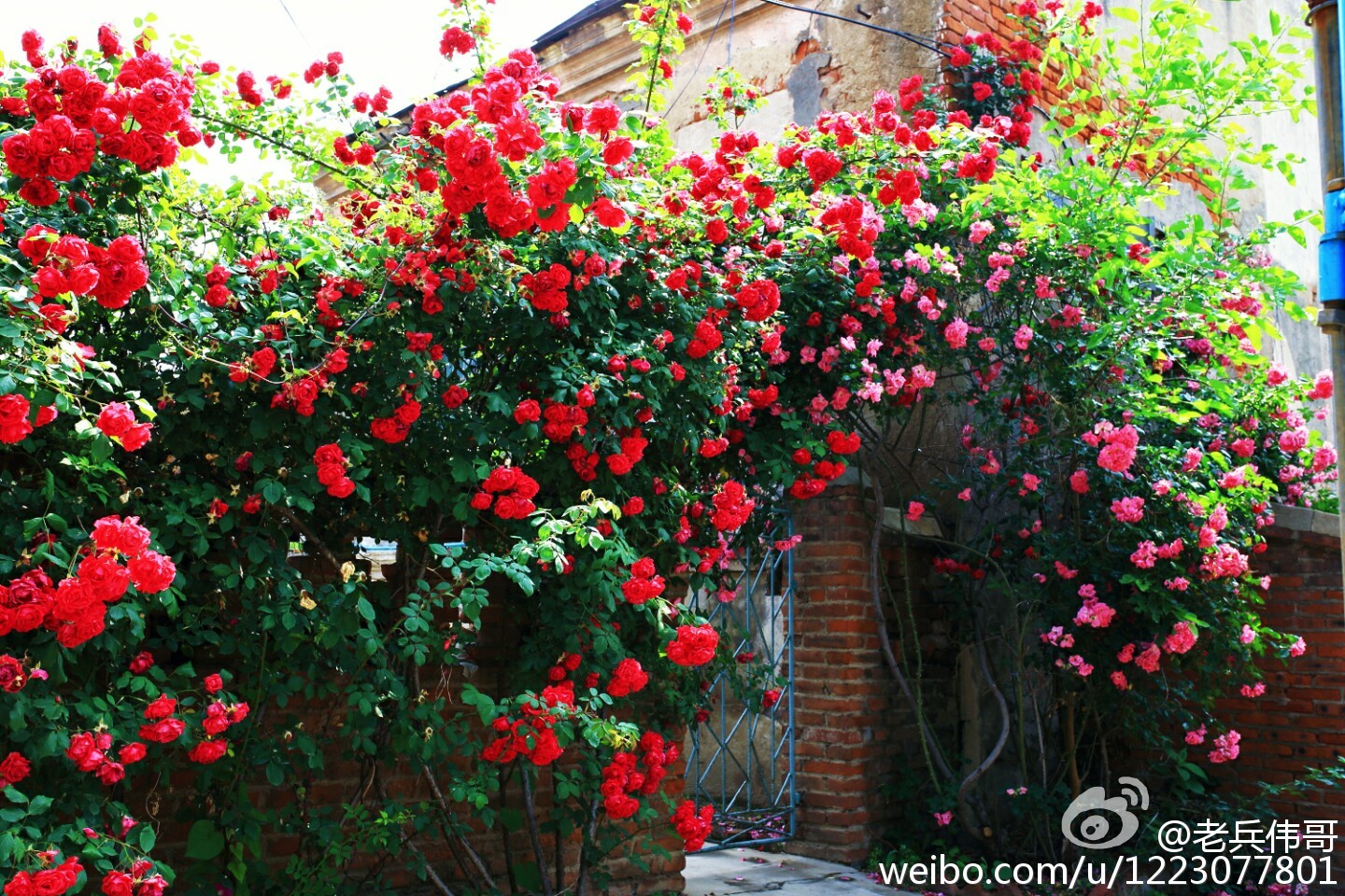 旅顺口哪个地方适合居住,住下来才知道旅顺口有多好