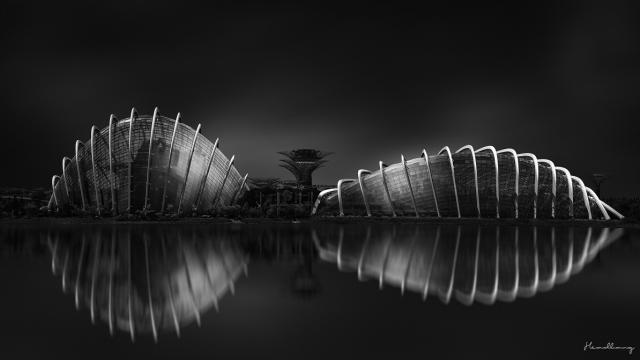 NiSi耐司专访李大伟Headbang