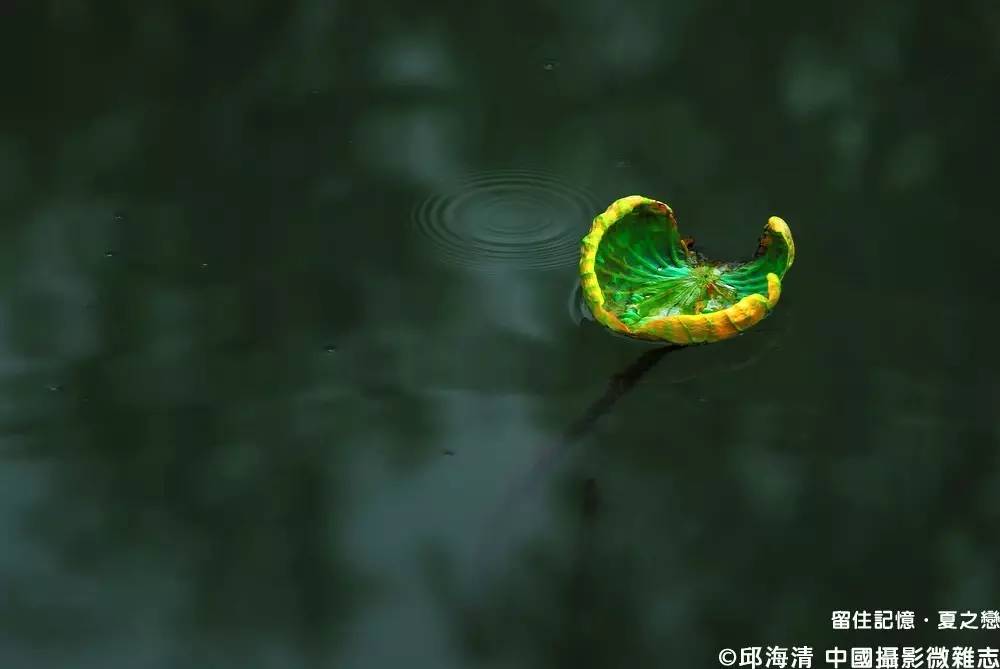 夏之恋完整版,夏之恋完整版免费阅读