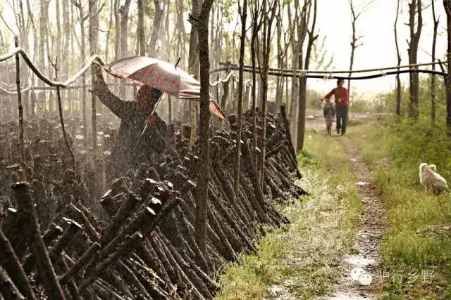 琛屾憚姹変腑,琛屾憚闄曡タ