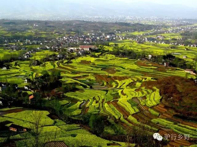 琛屾憚姹変腑,琛屾憚闄曡タ