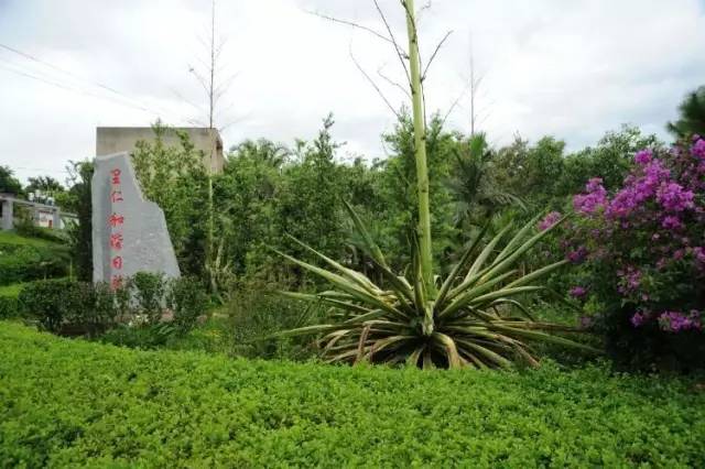 梦想起航沙河校区,内丘中学梦开始的地方