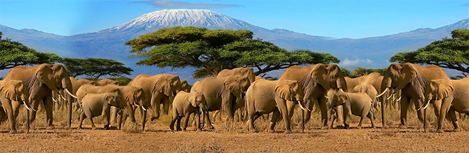 夏天瑞士,夏天瑞士风光