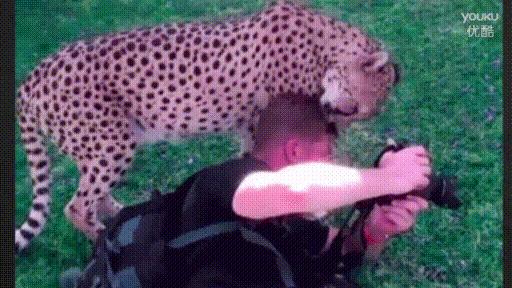 卧槽，这男的好可爱，好想抱抱他媳妇