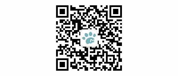 宠物大头照特效,宠物大头头像