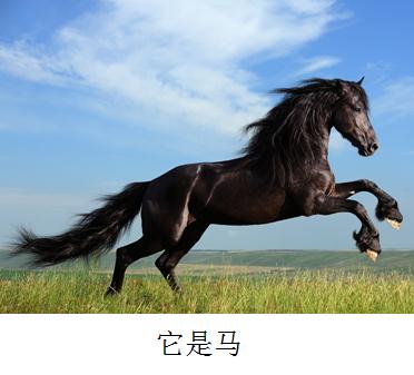 秦凯何姿16年成绩,秦凯何姿金牌榜