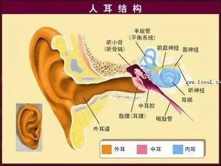 医疗动态鼻后漏脓涕原来是中耳炎惹的祸