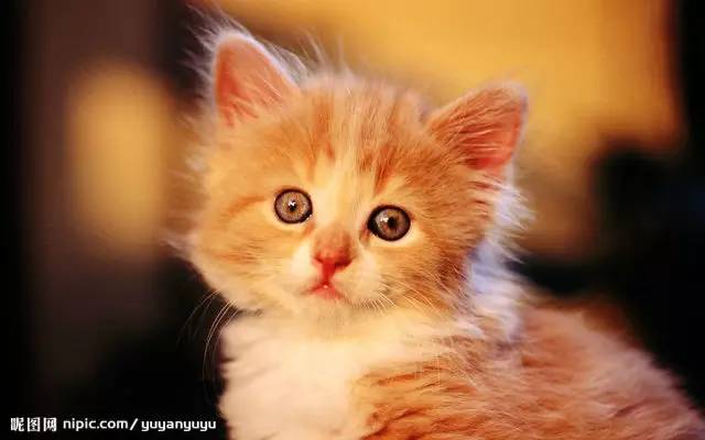 不缺钱却总想偷东西是什么心理,不缺钱还偷东西怎么理解