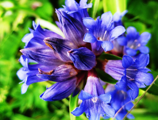 男人早泻偏方,怎样治阳痿早泄