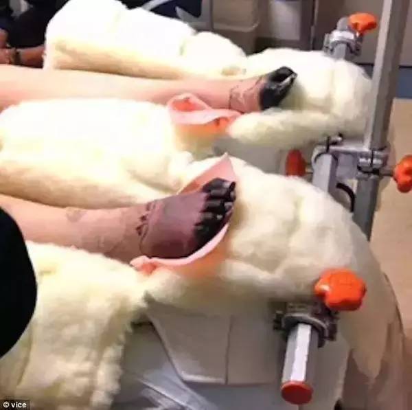 卫生棉会引发炎症吗,卫生棉中毒死亡事件