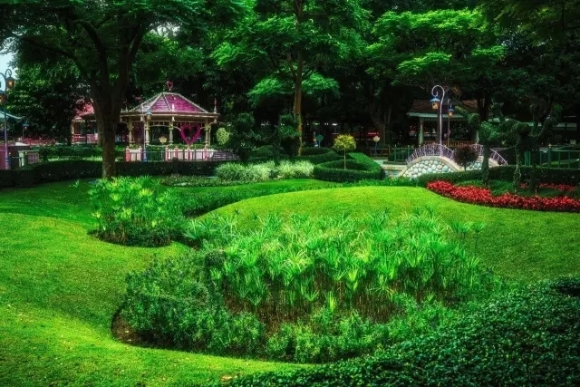 就算吃土也要投资自己,就算吃土也要买车