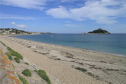 海边发现的怪异生物,海边发现诡异巨蛋