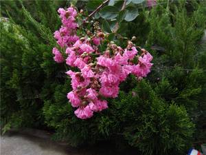 是否能够畅快用两天?360手机N4S全面评测!