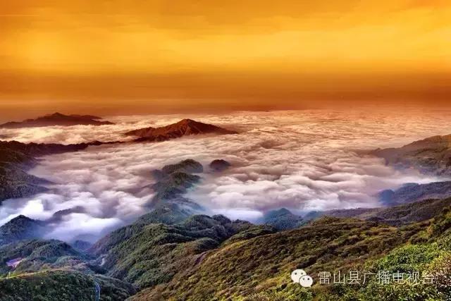 感受天然的氧吧气息和美景,感受大自然天然氧吧的气息和美景