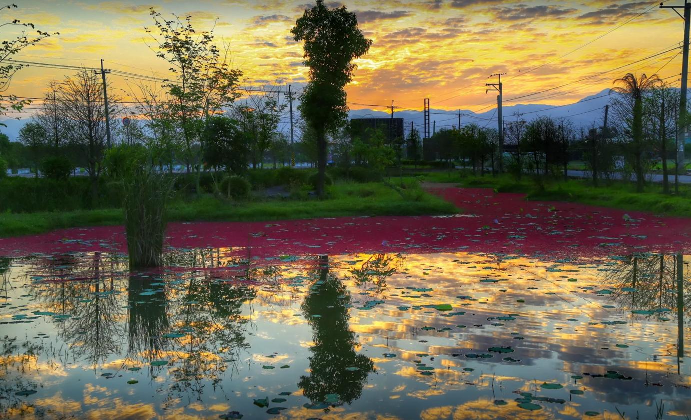 天乙贵人驿马劫煞同柱,庚戌是牛羊的天乙贵人吗