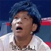 适合学生养的1元宠物,双鱼座适合养什么宠物