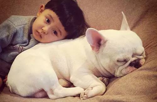 狗狗领回家多久可以训练呢,狗狗新手上路请多关照