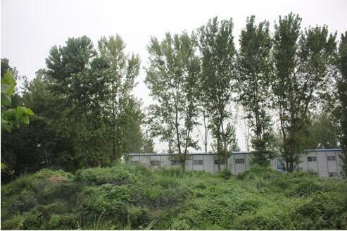 2018年龙湖地王,龙湖地王窝最新进展