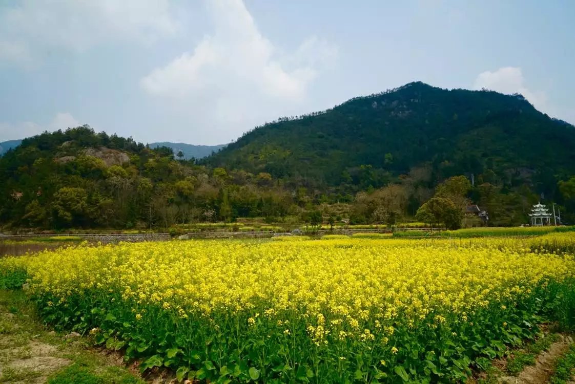 如果微博被盗，你会采取什么措施？