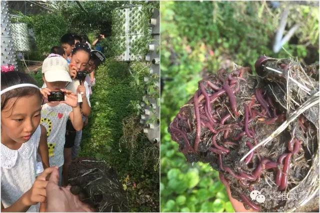 神奇大观园——农场变形记