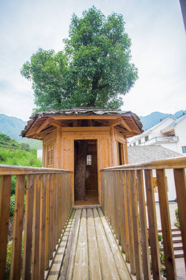 藏在小竹溪村的“私家园林”，躺在浴缸里就能看日出日落