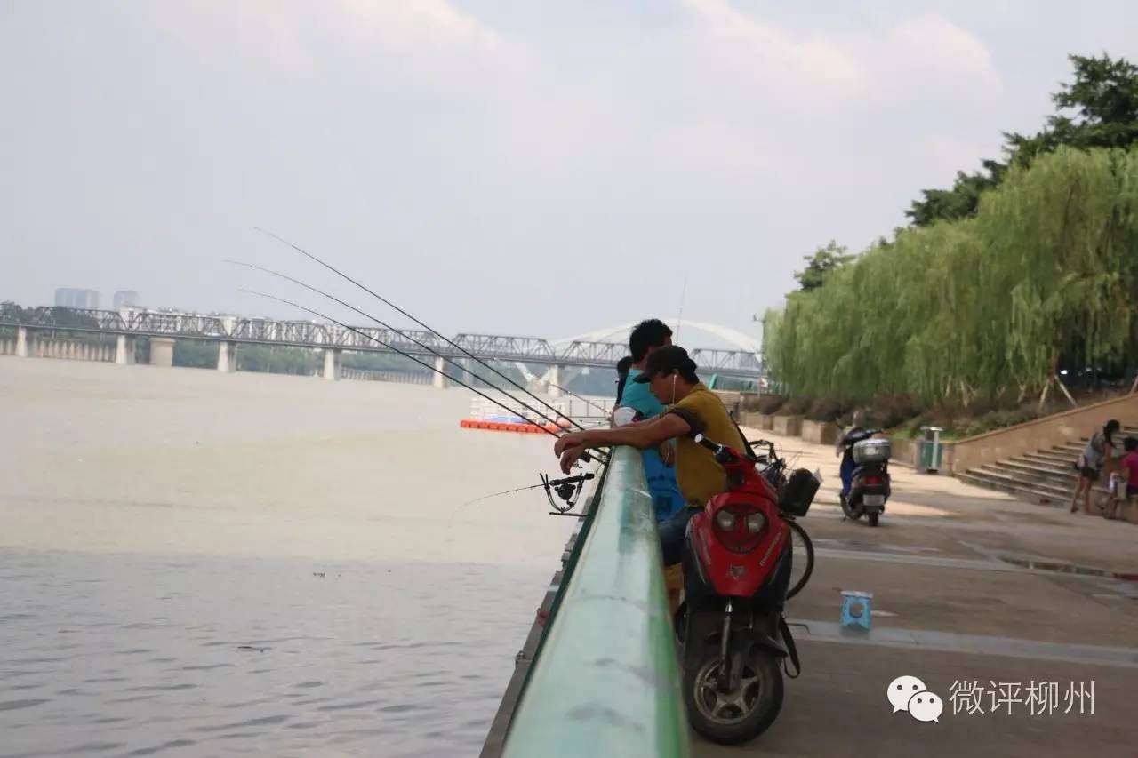 桥底滨水空间,桥底空间利用