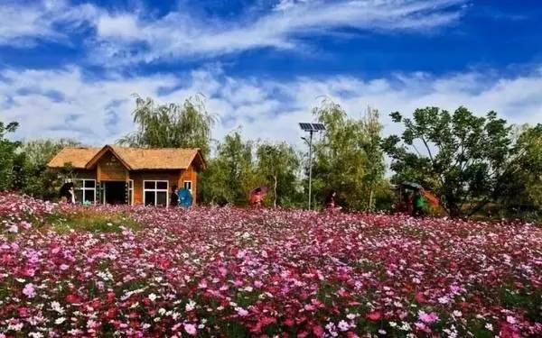 西昌邛海公园最新消息,西昌邛海湿地可以从哪个门进去