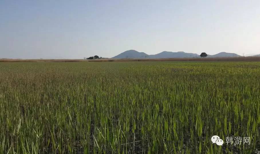 老司机的韩国南部深度游！老司机请带带我这才叫旅游！