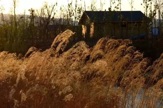 西昌邛海公园最新消息,西昌邛海湿地可以从哪个门进去