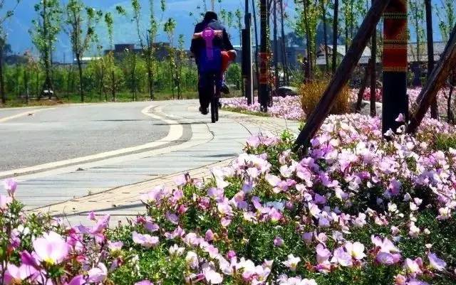 西昌邛海公园最新消息,西昌邛海湿地可以从哪个门进去