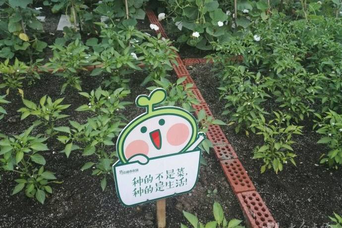 寤轰簡涓冻鐞冨満,寤轰竴涓ぇ鍨嬪鍐呯鐞冨満