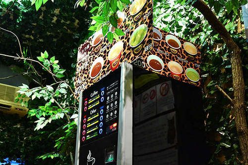 孟加拉猫主题咖啡馆,日本咖啡馆的猫咪