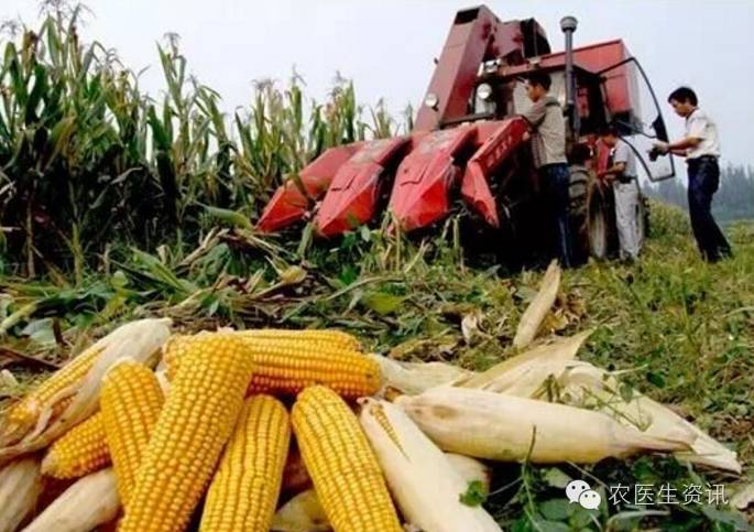玉米种植补贴视频,玉米补贴的最新政策