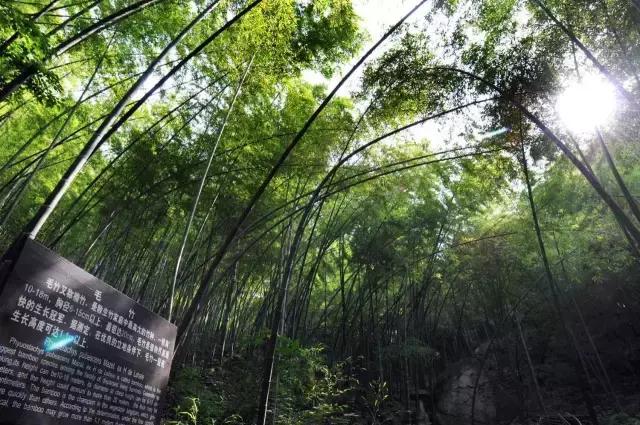 我还是很喜欢你原唱,我还是很喜欢你朗诵