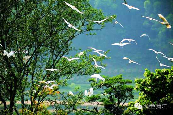 抓住夏天的尾巴去旅游,抓住夏天的尾巴游玩漓江