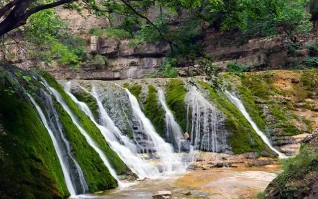 山西身份证为什么是14开头,山西身份证14开头