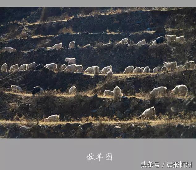 摄影师拍摄农村晚上乡愁,摄影师乡村视角