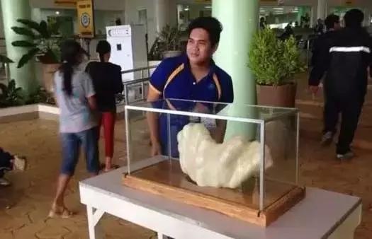 全世界最大最好看的珍珠,世界上最美的彩色宝石珍珠