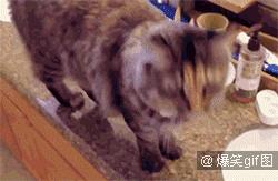 恐怖gif女生,韩国恐怖电影女孩诡异的笑图片