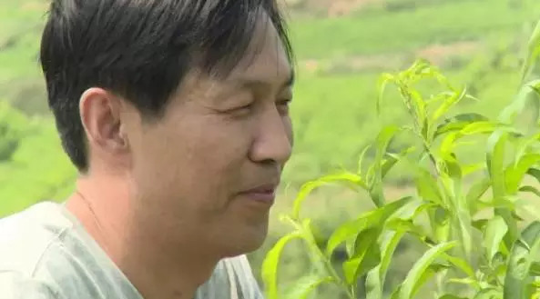 记安丘市柘山镇老子村第一书记赵学和