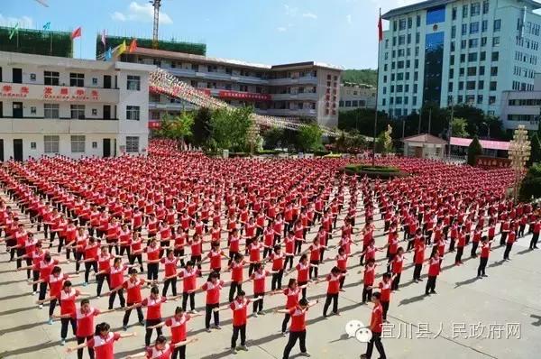 县长谈教育振兴,县长谈乡村振兴
