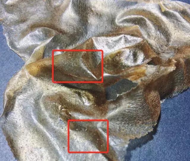 毛孔隐形小窍门图片真实,毛孔隐形最好方法