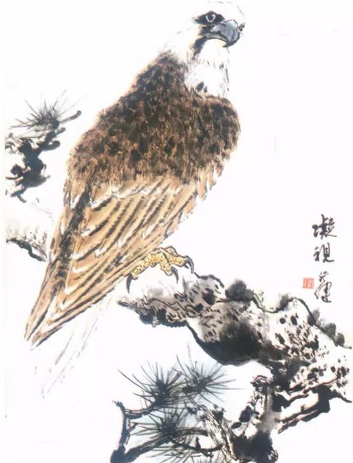 国画之鹰作品大全大图,国画大写意鹰图片大全