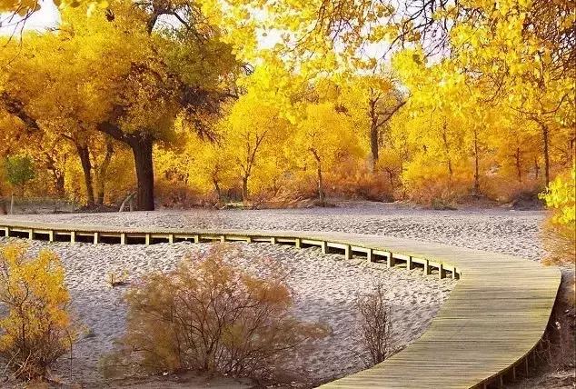 九月秋天美,九月的秋天多美好