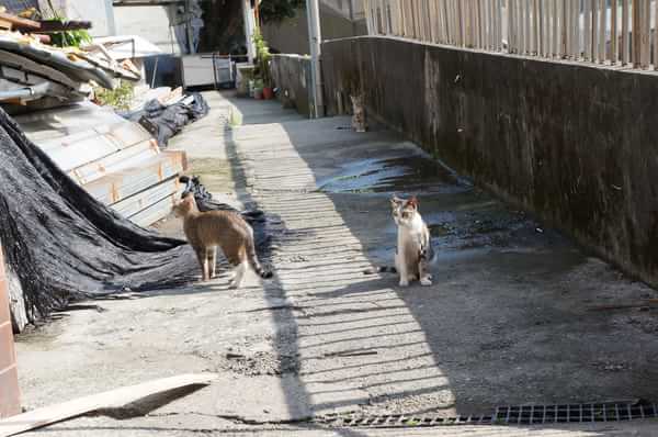 在台湾流浪14天~火星人的环岛路线！