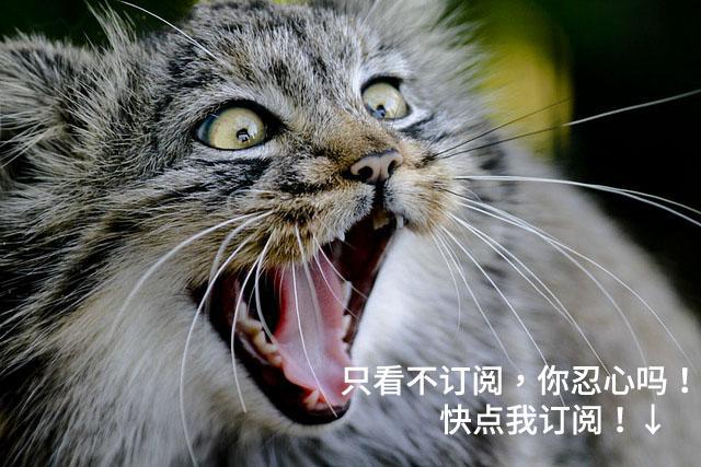 鸡能下几种颜色的鸡蛋,鸡蛋的颜色和鸡的品种有关