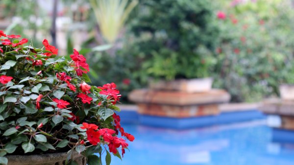 三亚万豪度假酒店攻略,面朝大海三亚